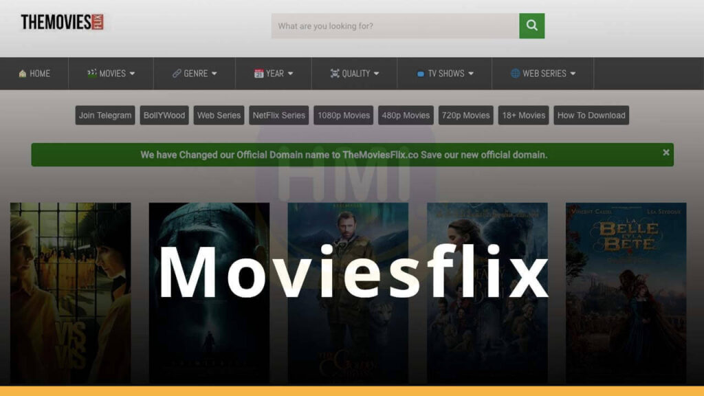 MoviesFlix